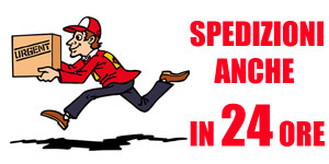 Spedizioni in 24 ore