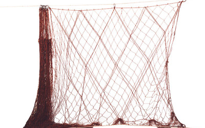 Reti per cattura di lepri - C1