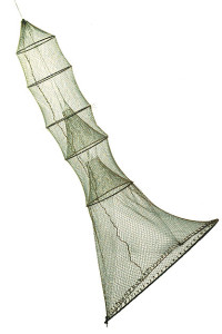 Bertavello - pesca - P10