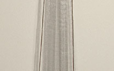 Sparviero o rezzaglio - P13