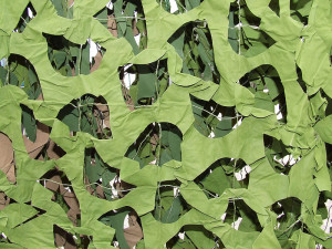 Reti mimetiche - A 49